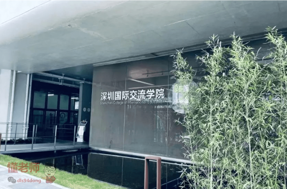 如何备考2025深国交？