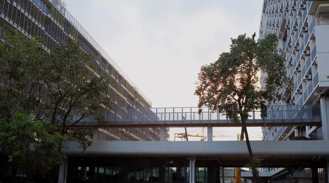 恭喜！深国交安托山新校区终于要开学了