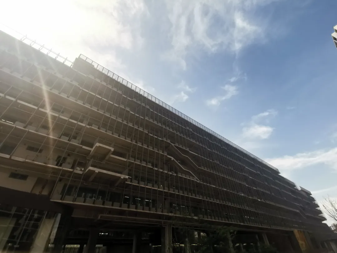 这就是深国交!2020年深国交招生、课程、升学、校园大揭秘