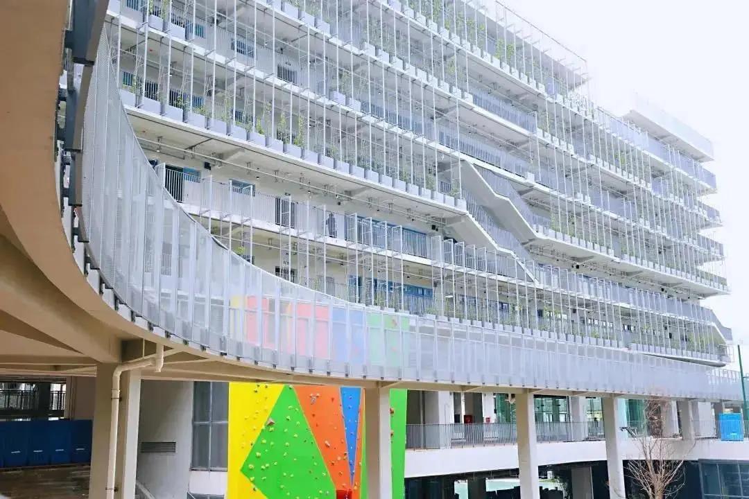 100%升入世界名校!“牛剑收割机”深国交的学霸大揭秘