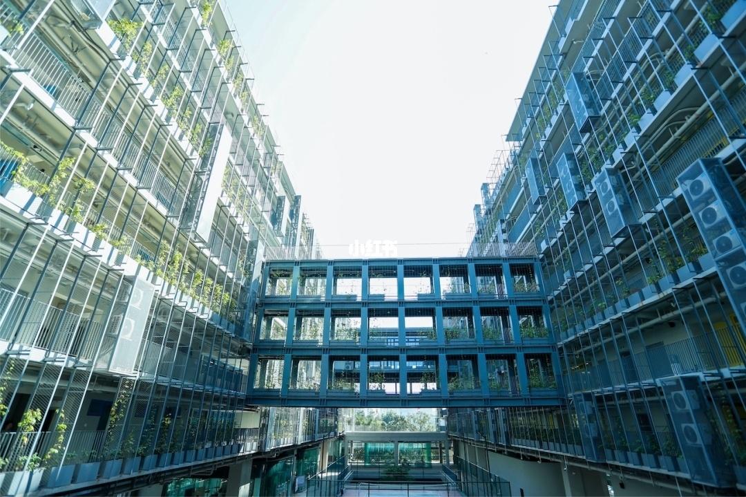 超牛!2021年深国交、贝赛思、深大师院等毕业生全球录取汇总!